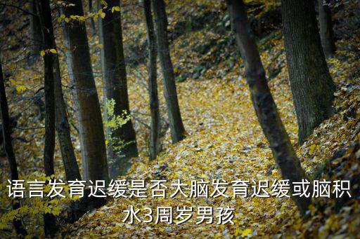 語言發(fā)育遲緩是否大腦發(fā)育遲緩或腦積水3周歲男孩