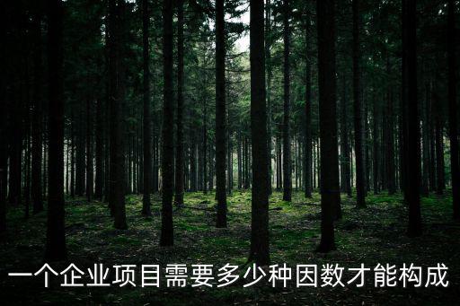 一個企業項目需要多少種因數才能構成