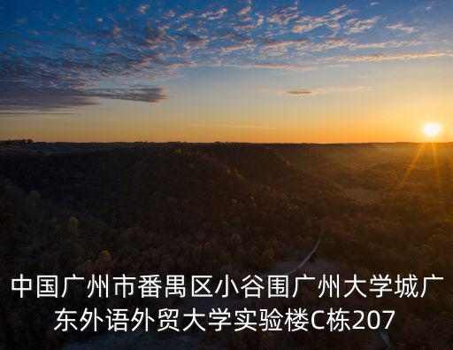 中國(guó)廣州市番禺區(qū)小谷圍廣州大學(xué)城廣東外語外貿(mào)大學(xué)實(shí)驗(yàn)樓C棟207