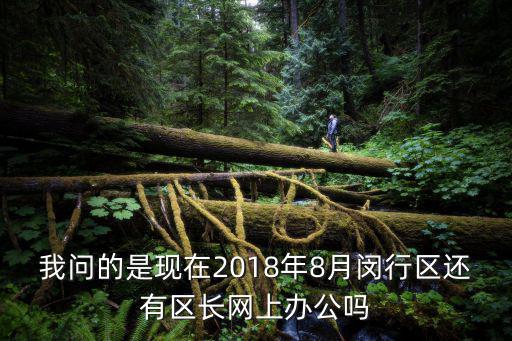 閔行區(qū) 區(qū)長，閔行區(qū)區(qū)長叫什么名字