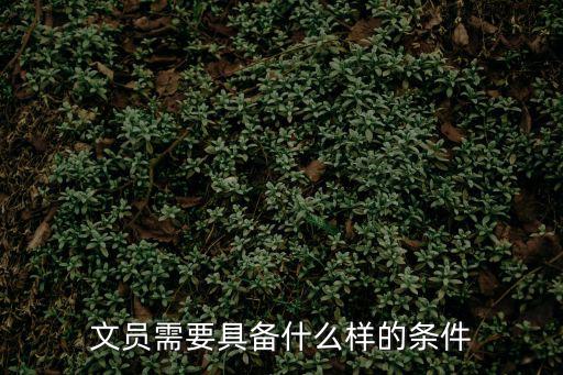 2022文職人員報考條件女生，當文員需要什么條件