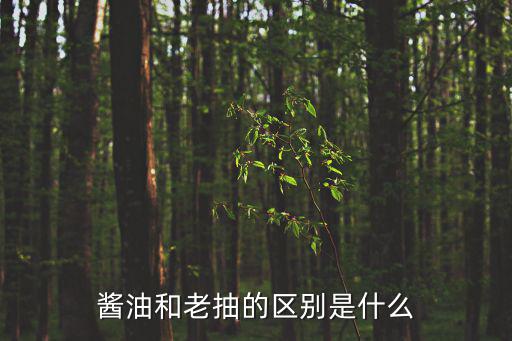 醬油和老抽的區別是什么