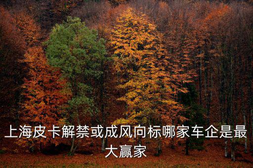 上海市風向標，上海風向標美發怎么樣請各位有去做過頭發的JM告知一下下謝過謝過