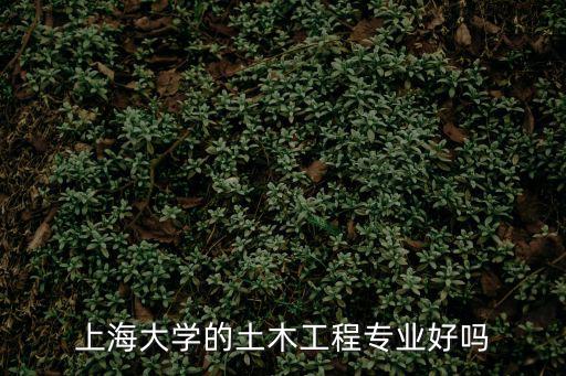 上海大學的土木工程專業好嗎