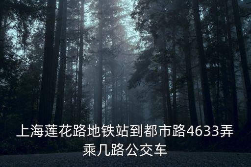 上海市閔行區都市路4633號，上海閔行區高壓證審證的地點