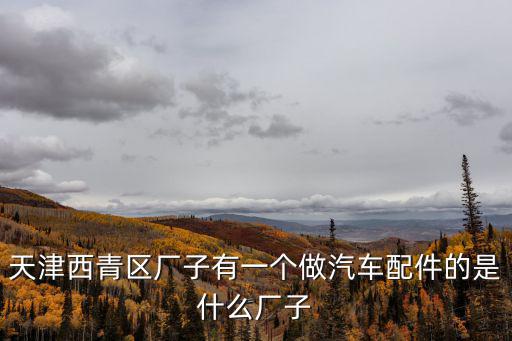 天津西青區廠子有一個做汽車配件的是什么廠子
