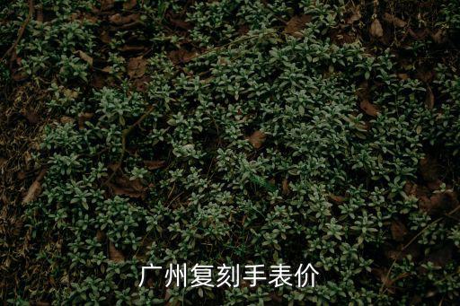 廣州產復刻瑞士名表一般賣多少錢，復刻手表一般值多少錢給大家揭秘一下吧