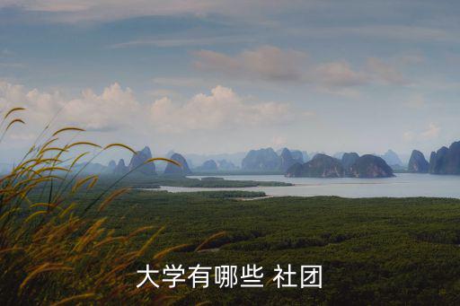 校園社團,學生社團可打破年級、院系、學校界限