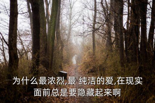 為什么最濃烈,最 純潔的愛,在現實面前總是要隱藏起來啊