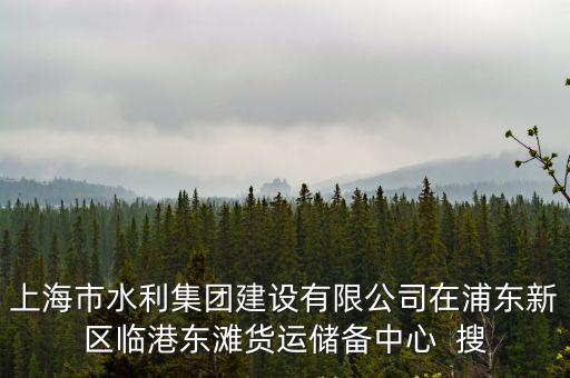 上海市水利集團建設有限公司在浦東新區臨港東灘貨運儲備中心  搜