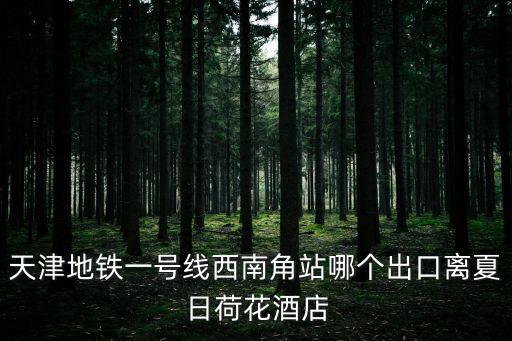 天津地鐵一號線西南角站哪個出口離夏日荷花酒店