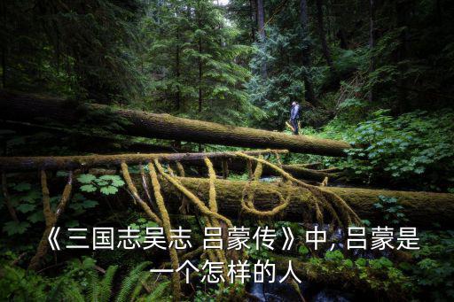 呂蒙傳,呂蒙勇往直前斬斷敵軍大將陳九,1