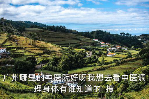 廣州哪里的中醫(yī)院好呀我想去看中醫(yī)調(diào)理身體有誰(shuí)知道的  搜