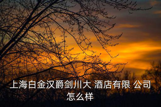 上海白金漢爵劍川大 酒店有限 公司怎么樣