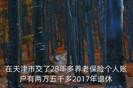在天津市交了28年多養(yǎng)老保險(xiǎn)個(gè)人賬戶有兩萬(wàn)五千多2017年退休