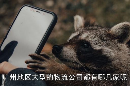 廣州地區大型的物流公司都有哪幾家呢