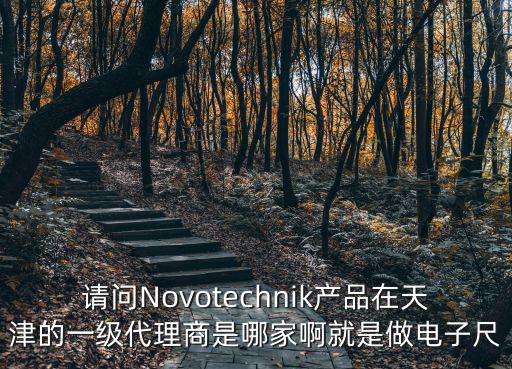 請問Novotechnik產(chǎn)品在天津的一級代理商是哪家啊就是做電子尺