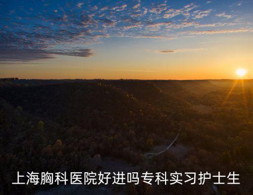上海胸科醫(yī)院好進嗎專科實習護士生