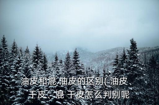  油皮和混 油皮的區別( 油皮、 干皮、混 干皮怎么判別呢