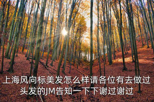 上海風向標美發怎么樣請各位有去做過頭發的JM告知一下下謝過謝過
