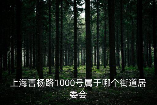 上海市曹楊七村屬于哪個(gè)街道的，曹楊路2170 哪個(gè)街道