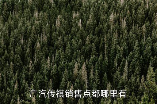 廣汽傳祺銷售點都哪里有