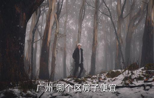 廣州房價較便宜的區，請問廣州哪個地方住房比較便宜