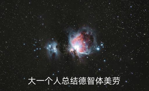 大一個人總結德智體美勞