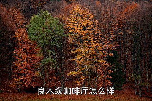 天津市良木緣咖啡廳，良木緣咖啡西餐 府青路一段店怎么樣
