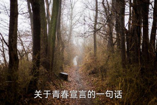 關于青春宣言的一句話