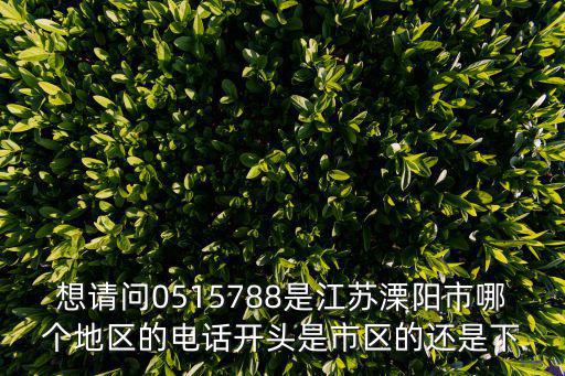 想請問0515788是江蘇溧陽市哪個地區的電話開頭是市區的還是下