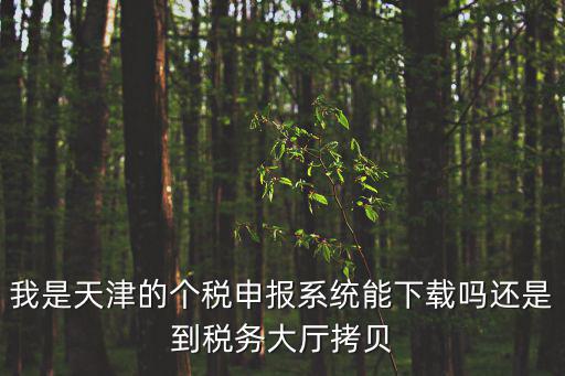 我是天津的個(gè)稅申報(bào)系統(tǒng)能下載嗎還是到稅務(wù)大廳拷貝