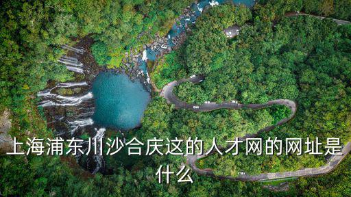 上海浦東川沙合慶這的人才網的網址是什么