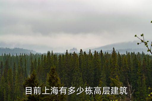 上海高層住宅，上海市的高樓