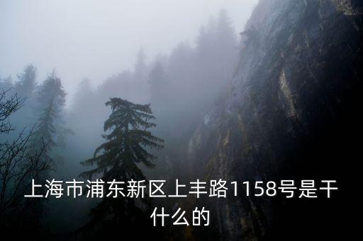 上海市浦東新區(qū)的密室逃脫，上海浦東的北大青鳥好嗎