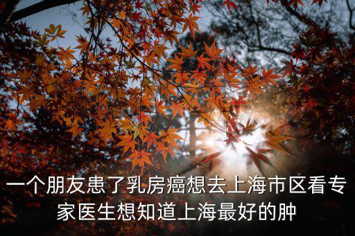 一個(gè)朋友患了乳房癌想去上海市區(qū)看專家醫(yī)生想知道上海最好的腫