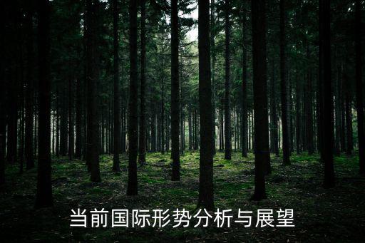當前國際形勢分析與展望