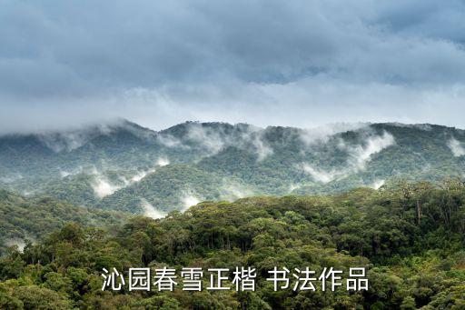  沁園春雪正楷 書法作品