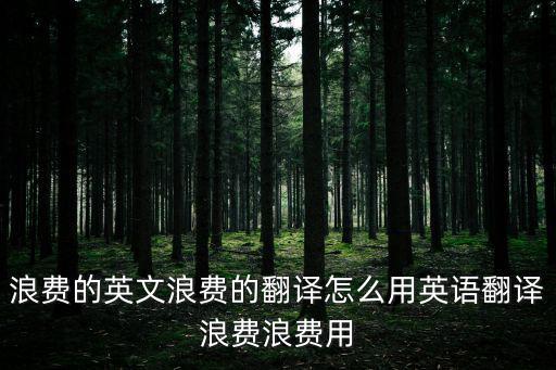 浪費的英文浪費的翻譯怎么用英語翻譯浪費浪費用