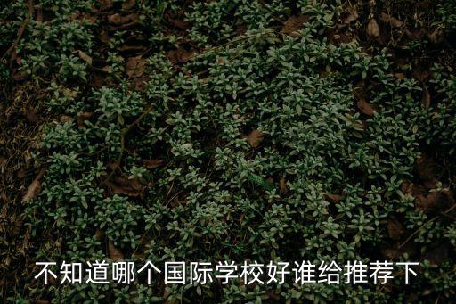 不知道哪個(gè)國際學(xué)校好誰給推薦下