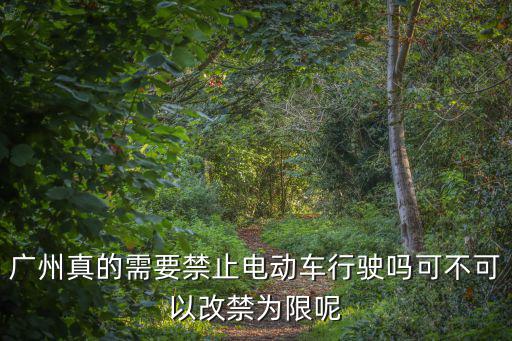 廣州真的需要禁止電動車行駛嗎可不可以改禁為限呢