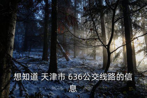 想知道 天津市 636公交線路的信息