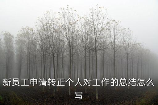 新員工申請轉正個人對工作的總結怎么寫