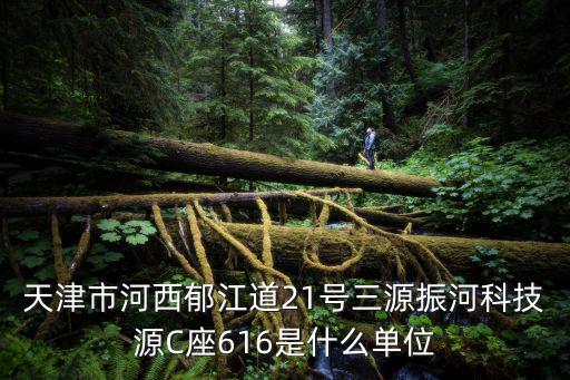 天津市河西郁江道21號(hào)三源振河科技源C座616是什么單位