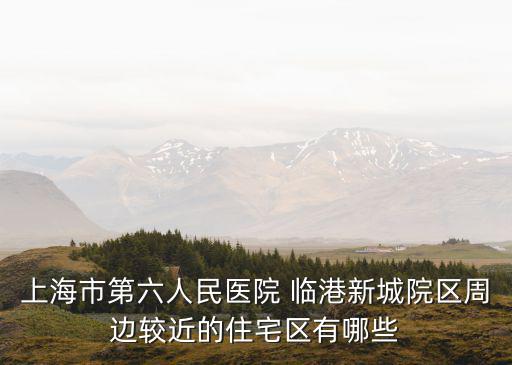 上海市第六人民醫(yī)院 臨港新城院區(qū)周邊較近的住宅區(qū)有哪些