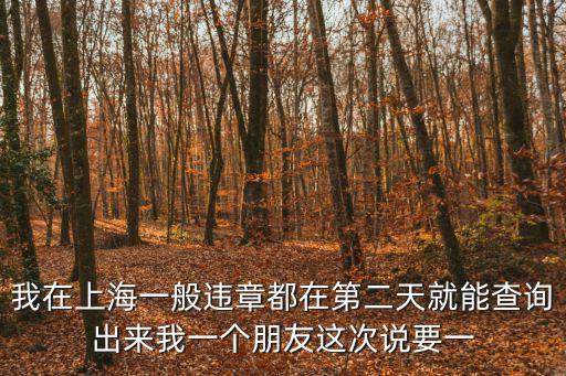 我在上海一般違章都在第二天就能查詢出來我一個朋友這次說要一