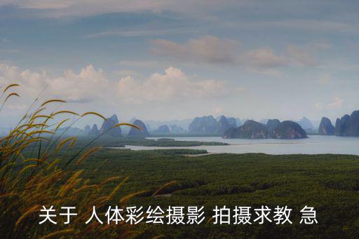 關于 人體彩繪攝影 拍攝求教 急