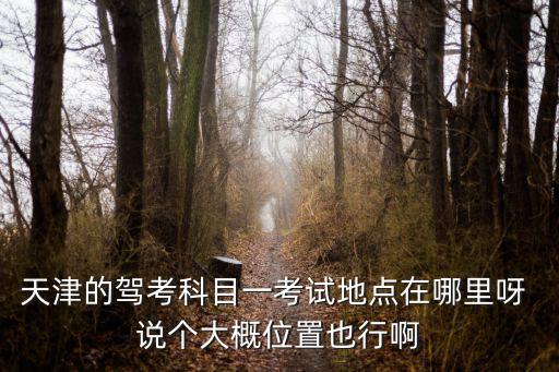 天津的駕考科目一考試地點在哪里呀 說個大概位置也行啊