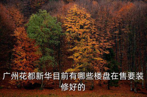 廣州花都新交樓盤，廣州花都新華目前有哪些樓盤在售要裝修好的