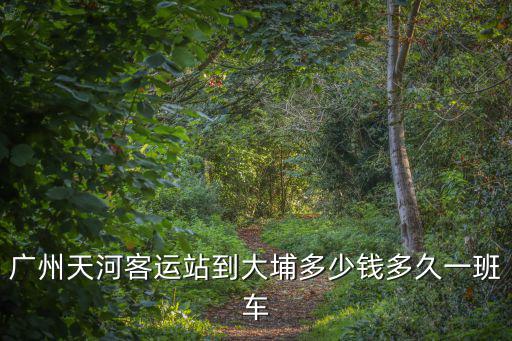 廣州天河客運站到大埔多少錢多久一班車